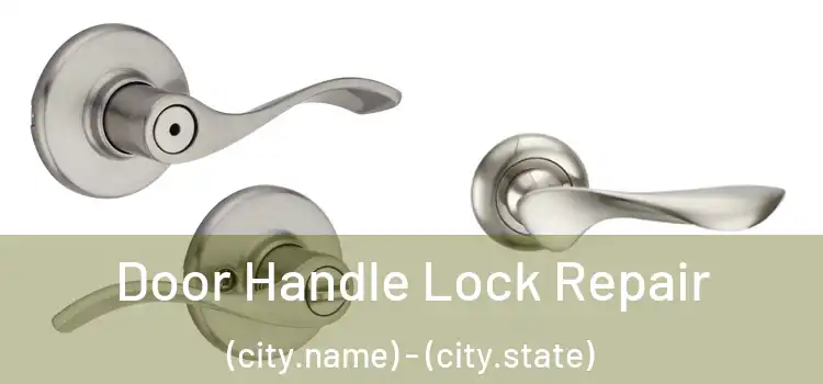 Door Handle Lock Repair (city.name) - (city.state)