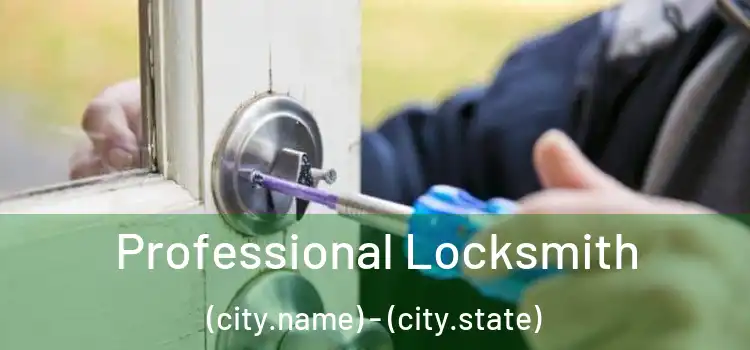 Professional Locksmith (city.name) - (city.state)